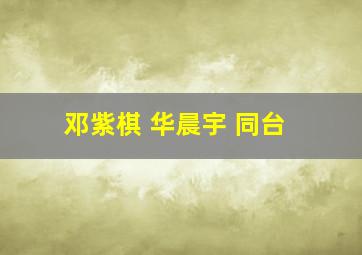 邓紫棋 华晨宇 同台